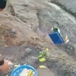 Viral Pria Tendang dan Buang Sesajen, Siapa Dia?