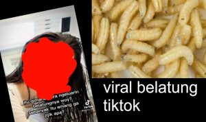 Belatung di Kelamin Wanita Pernah Terjadi, Ini Kisahnya!