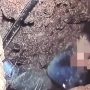 Terevakuasi, Nyawa Rayan Tak Tereselamatkan