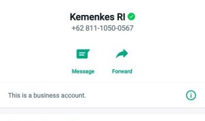 Belum Dapat Info Isoman? Hubungi WA Kemenkes di 081110500567