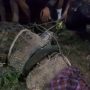 Buaya Berkalung Ban di Palu Akhirnya Selamat dari Lilitan di Lehernya