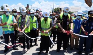 Sulteng Ekspor Kelapa 3.000 Ton ke Cina
