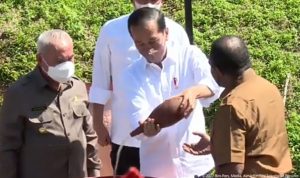 Presiden Jelaskan Makna Penyatuan Tanah dan Air di IKN Nusantara