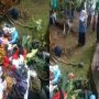 Kronologi Istri Bersuami Dua di Cianjur, 5 Bulan Poliandri Hingga Ditalak Tiga Suami Pertama