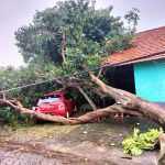 Hujan Disertai Angin di Kendal Akibatkan Puluhan Rumah Rusak