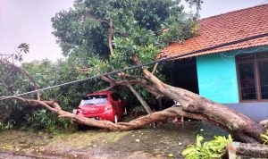 Hujan Disertai Angin di Kendal Akibatkan Puluhan Rumah Rusak