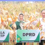 Nilam Sari Harap Sulteng Jadi Lumbung dan Pusat Industri Jagung Nasional
