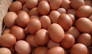 Benarkah Telur Mengakibatkan Kolesterol? Ini Faktanya!
