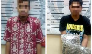 Dapat Kiriman Ganja Dari Medan, Dua Warga Tulo, Sigi Diringkus Polisi