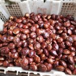 Makan Jengkol Bisa Cegah Diabetes Hingga Turunkan Kolesterol