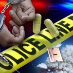 Miliki Sabu, Warga Desa Sarudu Ditangkap Polisi