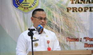 Sulteng Surplus Beras 75.663 Ton, Peringkat 9 di Indonesia