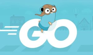 Google Rilis Bahasa Pemograman GO Versi 1.20