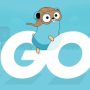 Google Rilis Bahasa Pemograman GO Versi 1.20