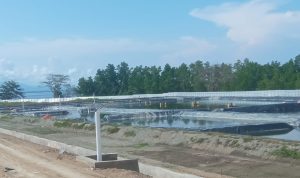 Kades Donggulu Induk Ancam Blokade Jalan Menuju Tambak Udang PT EPU