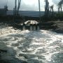 DLH Parimo Bantah Dugaan Pembiaran Limbah Tambak Udang PT EPU Cemari Laut