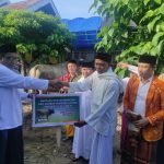 Terima Sapi Kurban, Gubernur Sulteng: Terima Kasih Presiden