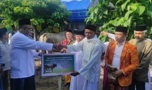 Terima Sapi Kurban, Gubernur Sulteng: Terima Kasih Presiden