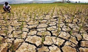 Apa itu Fenomena El Nino dan IOD yang Ancam Kekeringan di Indonesia?
