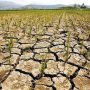 Apa itu Fenomena El Nino dan IOD yang Ancam Kekeringan di Indonesia?