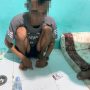 Miliki Puluhan Sachet Sabu, Pria Asal Luwuk Timur Ditangkap