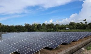 PLN Siap Percepat Transisi Energi