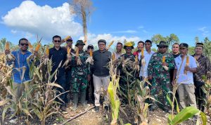 Manunggal Petani TNI Tingkatkan Produktivitas KPN