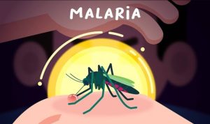 Dua Kabupaten di Sulawesi Tengah Bebas Malaria