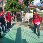 Bantuan Hewan Qurban dari Gubernur, Wagub dan Sekda Disalurkan