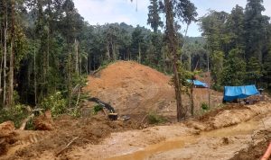 Tambang Emas Ilegal Gunung Peaka Desa Tambarana Longsor, Empat Orang Meninggal Dunia