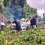 Longsor di Palasa Lambori, Dua Mobil Terseret dan Tertimpa Pohon