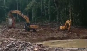 PETI di Lobu, Kabupaten Parigi Moutong Diduga  Beroperasi Lagi