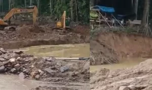 Sudah Lama Berlangsung, Mafia Tambang Emas Ilegal di Lobu dan Lambunu tak Tersentuh Hukum