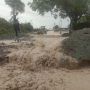 Pihak Berwenang Diminta Tindak Tegas  Perusahaan Tambang yang Berkontribusi Banjir Lumpur di Watusampu