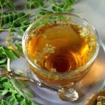 Manfaat Rebusan Kelor Campur Madu