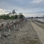 Proyek Rp150 Miliar Sungai Palu Terancam Gagal : Molor, Cacat Konstruksi, dan Pembengkakan Biaya