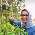 Marissa Haque, Sosok Perempuan Multitalenta di Indonesia