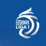 Link Live Streaming Persis Solo Vs Persib Bandung