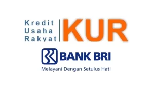 KUR BRI dan Cara Pengajuannya