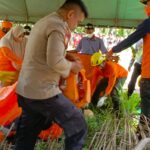 Penemuan Mayat Wanita di Kebun Sawit Gemparkan Warga Buol