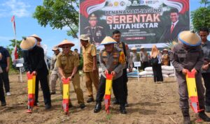 Polda Sulteng Targetkan Tanam Jagung 55 Ribu Hektar Dukung Swasembada Pangan