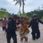 Brimob Polda Sulteng Bantu Evakuasi Korban Banjir dan Longsor di Tolitoli