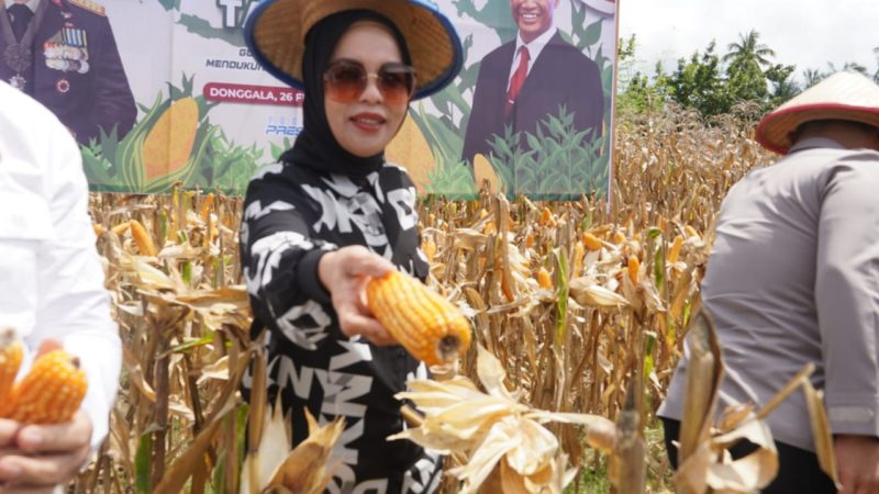 DPRD Sulteng Harap Pemerintah Dukung Petani dalam Distribusi Hasil Panen