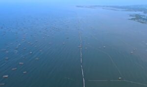 Ternyata, Warga Desa Kohod Dicatut KTP-nya dalam Kasus Pagar Laut di Tangerang