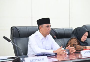 Pemprov Sulteng  Dorong Perizinan yang Transparan dan Ramah Investasi
