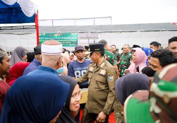 Gubernur Pastikan 35 MW Listrik Baru untuk Morowali, Target Rampung Agustus 2025