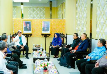 Wagub Reny Terima Kunjungan Wamen Investasi, Fokus Target Realisasi 2025
