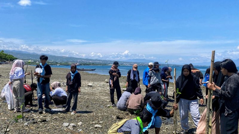 Langkah Kecil untuk Bumi: MAPALA Pawana FMIPA Untad Konsisten Lestarikan Mangrove
