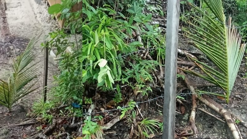 Warga Malenge Protes Pemagaran Pantai Sera oleh Resort, Akses Publik Terancam