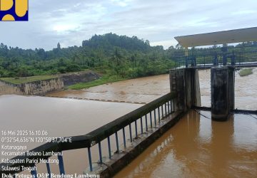 Air Keruh, Padi Kerdil: Ketika Tambang Menyerobot Hak Petani di Lambunu